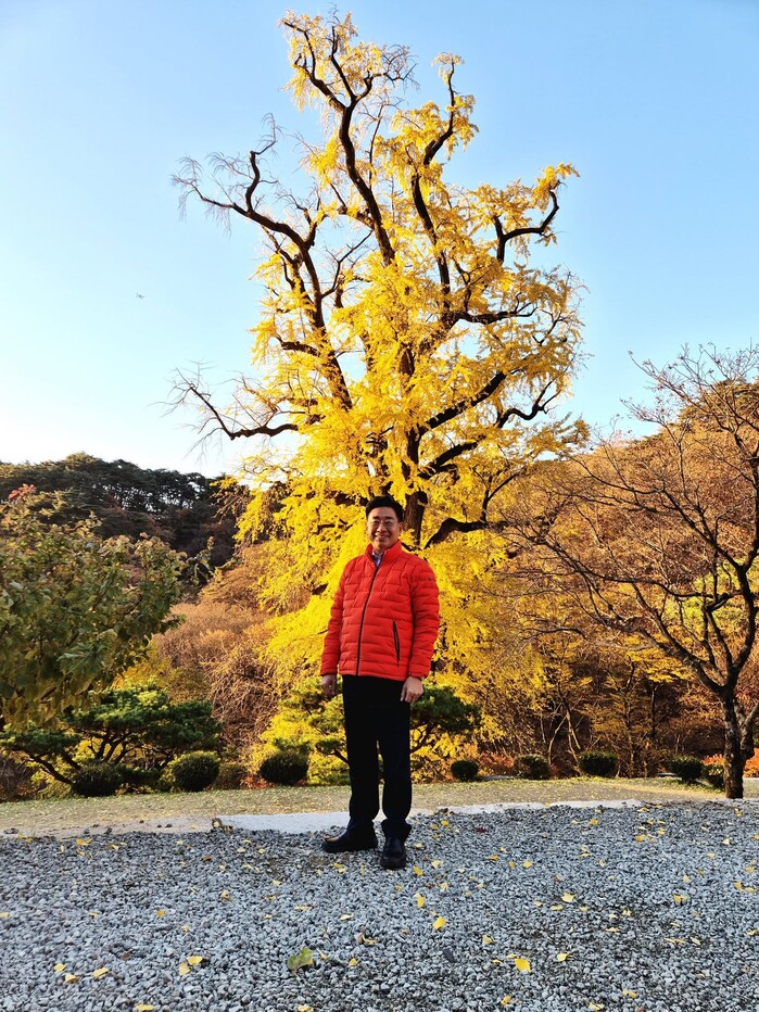 전진선 양평군수, “용문사 천년은행나...