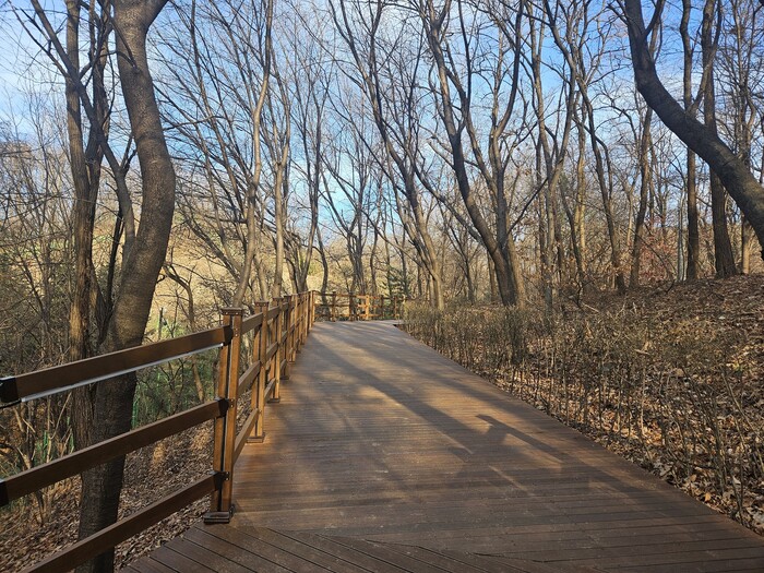 [로컬라이프] 용인특례시, 도심 속 ...