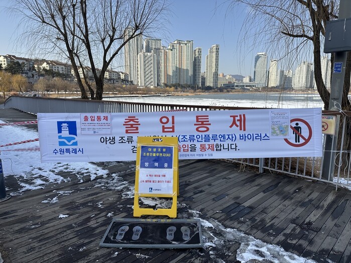 [로컬라이프] 수원 원천호수에서 수거...